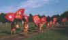 SBANDIERATORI.jpg (33083 byte)